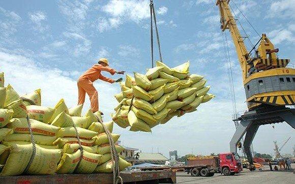 Xuất khẩu gạo thận trọng, tuyệt đối không để xảy ra thiếu gạo trong nước