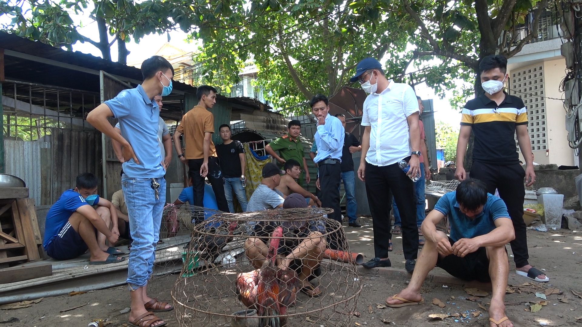 Thừa Thiên Huế: Bắt 29 đối tượng đá gà ăn tiền