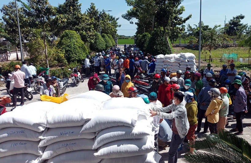 Nhanh chóng cấp phát hơn 920 tấn gạo đến người dân khó khăn ở Đắk Lắk