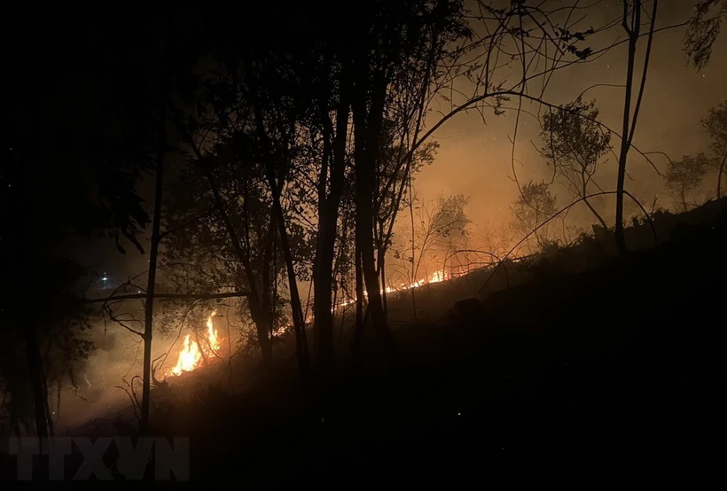 Hàng trăm người nỗ lực dập đám cháy rừng tại thị xã Nghĩa Lộ-Yên Bái