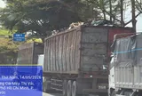 T.p Hồ Chí Minh: Container chở phế liệu mất an toàn trên trục Cái Mép – Thị Vải