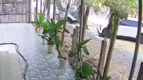 Ô tô đi ra từ ngõ như chỗ không người, cái giá phải trả quá đắt
