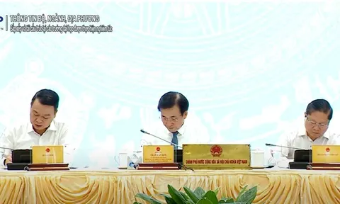 Sắp xếp và tái cấu trúc lại các trường đại học được thực hiện nghiêm túc, khẩn trương