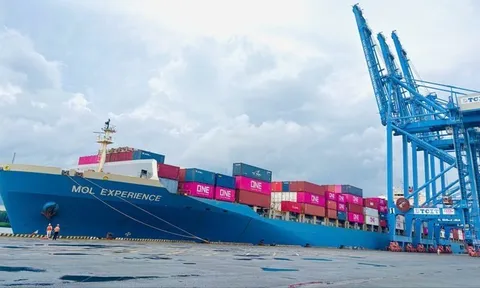 Tân Cảng – Cái Mép đón chuyến tàu đầu tiên kết nối trực tiếp Việt Nam – Brazil