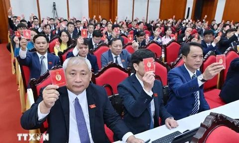 Kết luận của Bộ Chính trị, Ban Bí thư về công tác đại hội đảng bộ trực thuộc TW