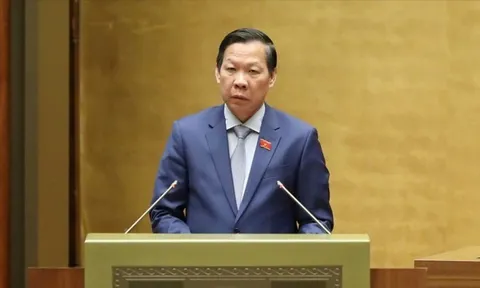 Chủ quản nền tảng có thể phải xác thực danh tính người bán hàng livestream