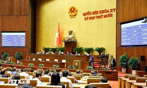 Kỳ họp thứ 10, Quốc hội khóa XV: Thông qua Luật Báo chí (sửa đổi)