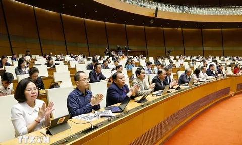 Thông qua Luật Trí tuệ nhân tạo: Khung pháp lý đầu tiên cho phát triển AI