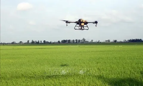 ĐBSCL bước vào giai đoạn phát triển mới bằng khoa học công nghệ