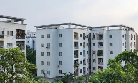 TP Hồ Chí Minh đưa các dự án nhà ở xã hội vào nhóm "luồng xanh," "luồng ưu tiên"