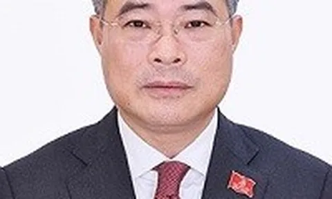 Chính phủ Việt Nam đương nhiệm