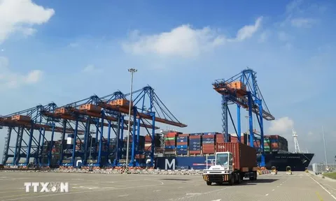 Gấp rút chuẩn bị khởi công, động thổ ba dự án cảng biển tại TP Hồ Chí Minh