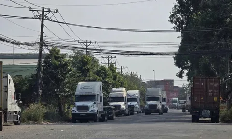 Thiếu bãi đậu xe quanh khu vực cảng, ùn tắc giao thông gia tăng