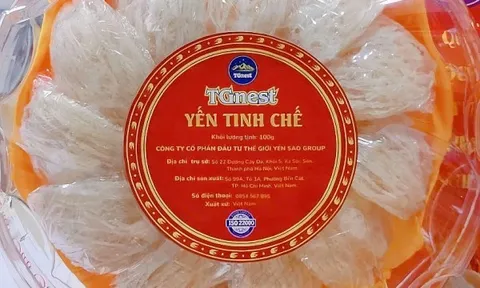 Vàng Trắng" Từ Vách Đá Đến Chén Yến: Hành Trình Của Người Giữ Tinh Túy Thiên Nhiên