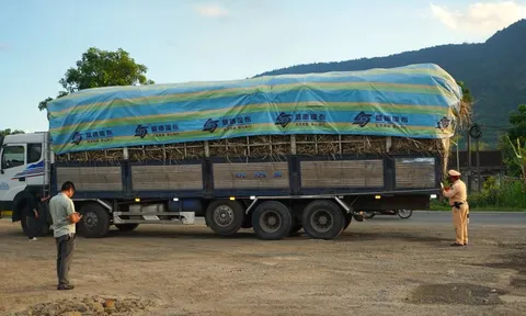 Đắk Lắk: Giữ nhịp an toàn trên tuyến vận chuyển nguyên liệu Quốc lộ 26.