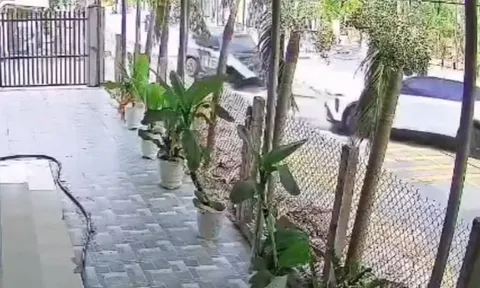 Ô tô đi ra từ ngõ như chỗ không người, cái giá phải trả quá đắt