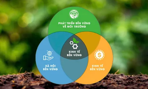 Phát triển xanh: Tạo xung lực từ Chương trình hành động của Bộ Chính trị