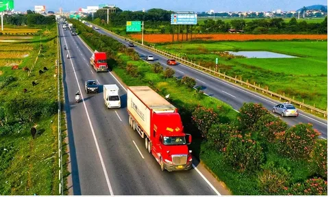 Có hơn 199.000 GPLX CE, vì sao vẫn thiếu lái xe container?