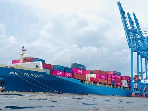 Tân Cảng – Cái Mép đón chuyến tàu đầu tiên kết nối trực tiếp Việt Nam – Brazil