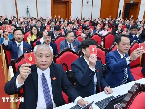 Kết luận của Bộ Chính trị, Ban Bí thư về công tác đại hội đảng bộ trực thuộc TW