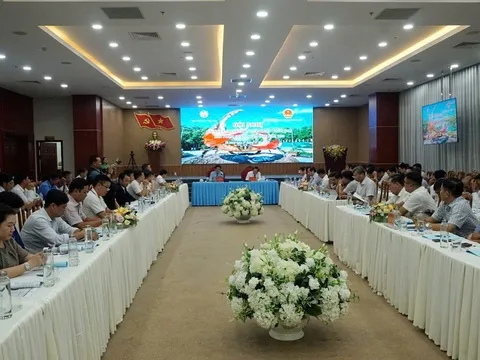 Cà Mau: Liên kết chuỗi sản xuất - tiêu thụ, thúc đẩy ngành cua biển vươn ra thế giới