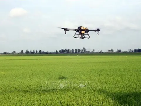 ĐBSCL bước vào giai đoạn phát triển mới bằng khoa học công nghệ