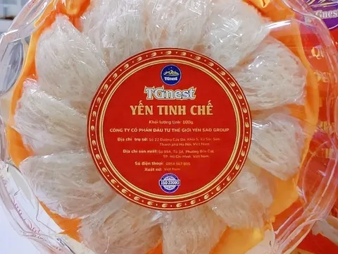 Vàng Trắng" Từ Vách Đá Đến Chén Yến: Hành Trình Của Người Giữ Tinh Túy Thiên Nhiên