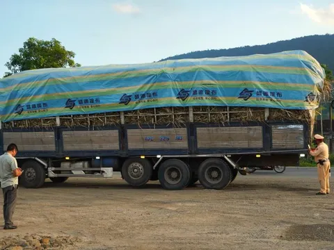 Đắk Lắk: Giữ nhịp an toàn trên tuyến vận chuyển nguyên liệu Quốc lộ 26.