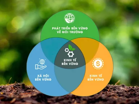 Phát triển xanh: Tạo xung lực từ Chương trình hành động của Bộ Chính trị