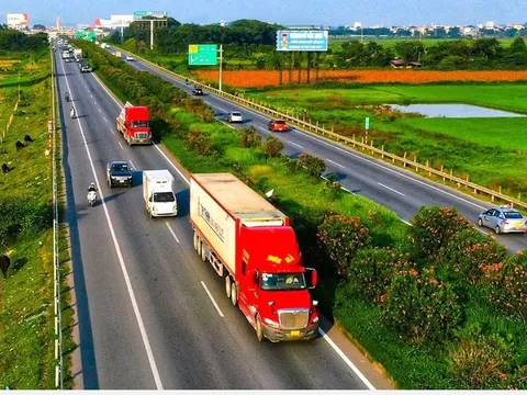 Có hơn 199.000 GPLX CE, vì sao vẫn thiếu lái xe container?