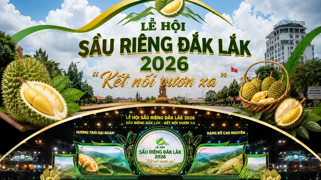 Lễ hội Sầu riêng Đắk Lắk 2026 Kết nối vươn xa